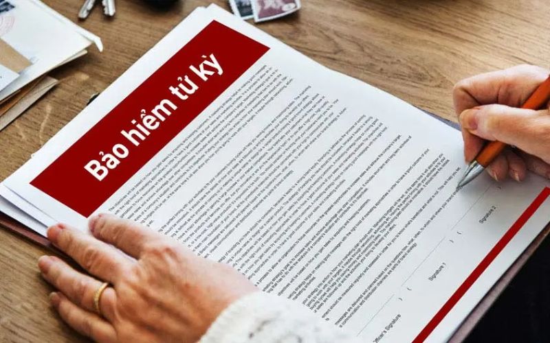 Bảo hiểm tử kỳ